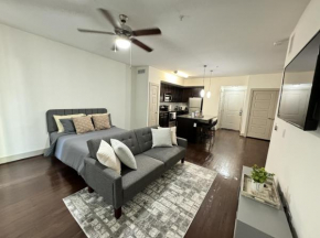 Stay in Luxury Apt in H-town!